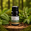 ACEITE ESENCIAL Albahaca clavo