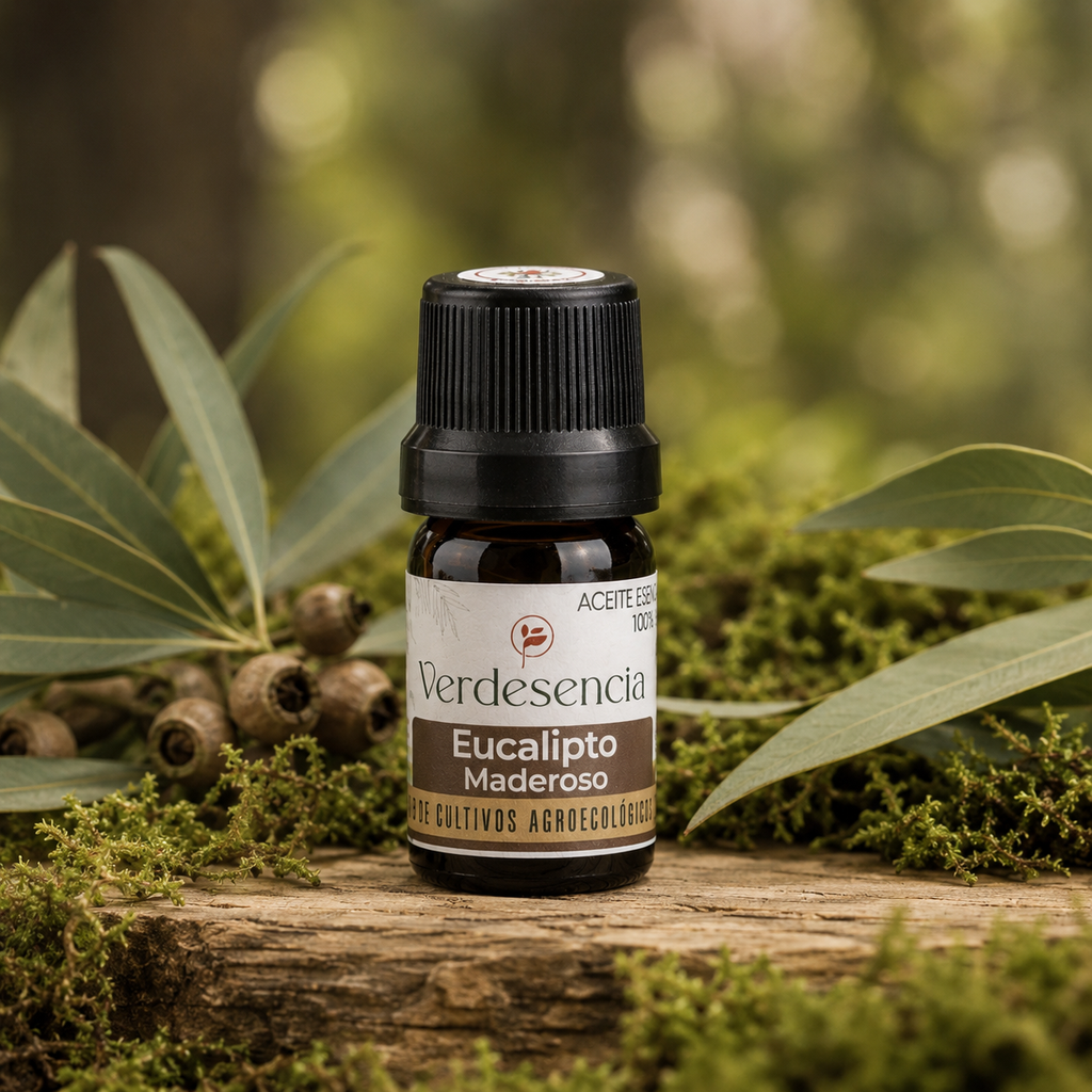 ACEITE ESENCIAL Eucalipto maderoso