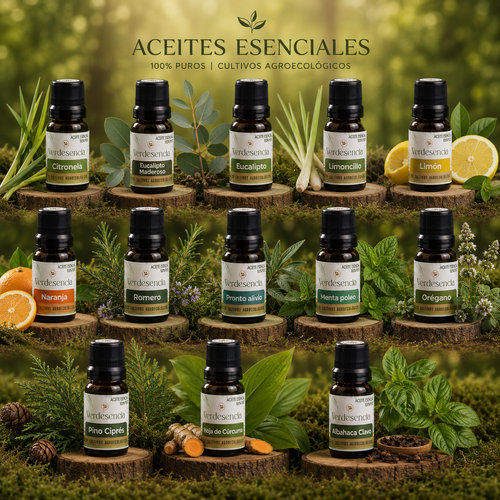 ACEITE ESENCIAL Albahaca clavo