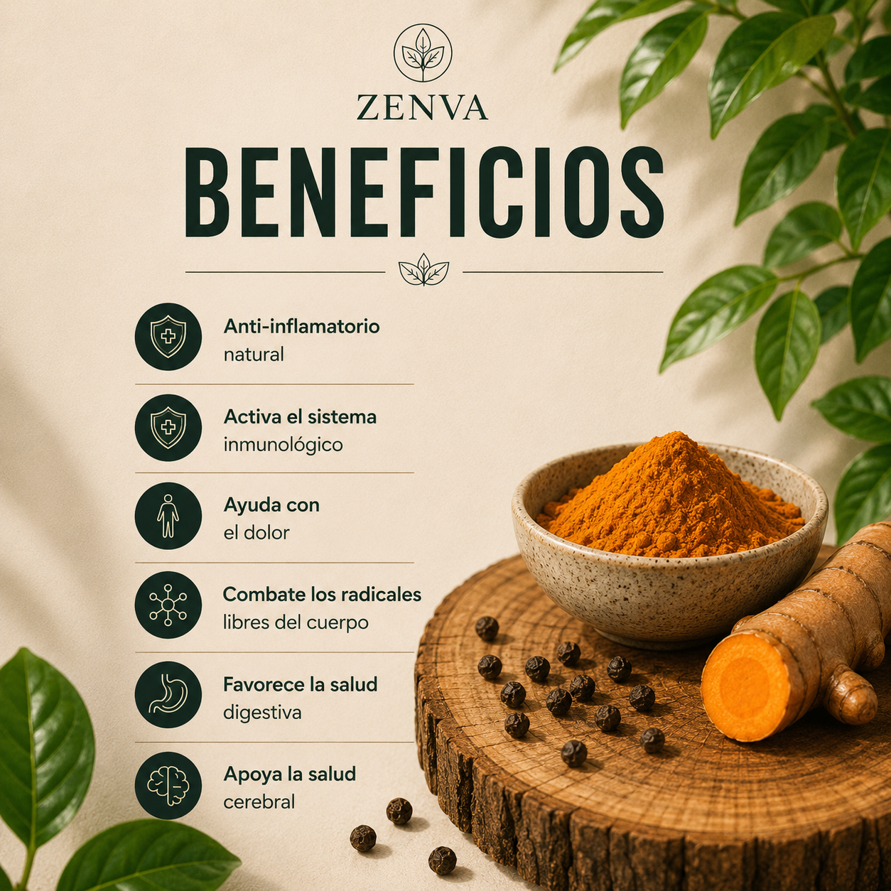 CURCUMA Con pimienta negra 80 Cap.