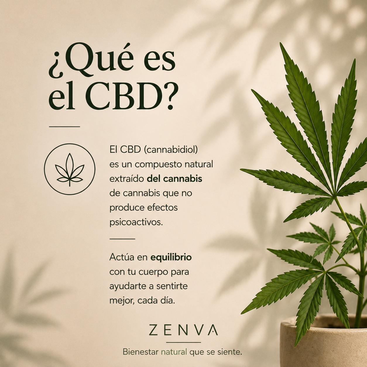 TINTURA de Cannabis 30 ml